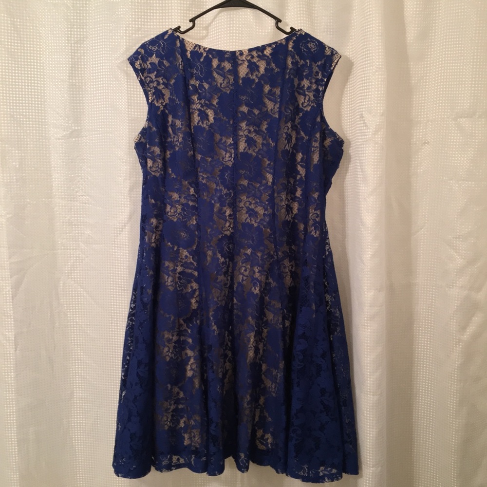 Navy & Nude Lace Fit and Flare Sleeveless Dress